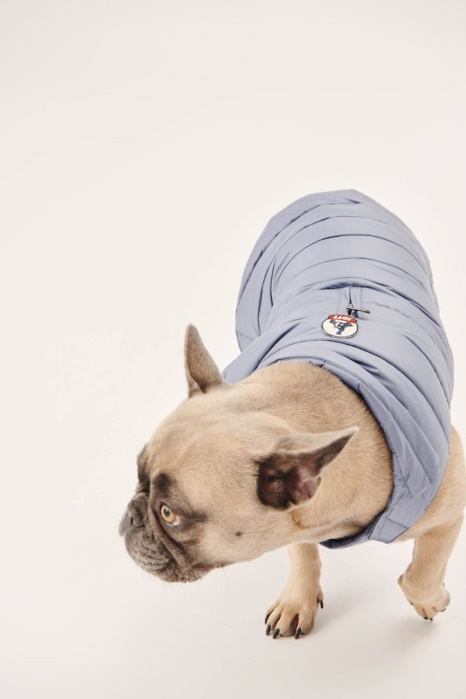 Jaqueta Azul Delave Cães Woop Jott