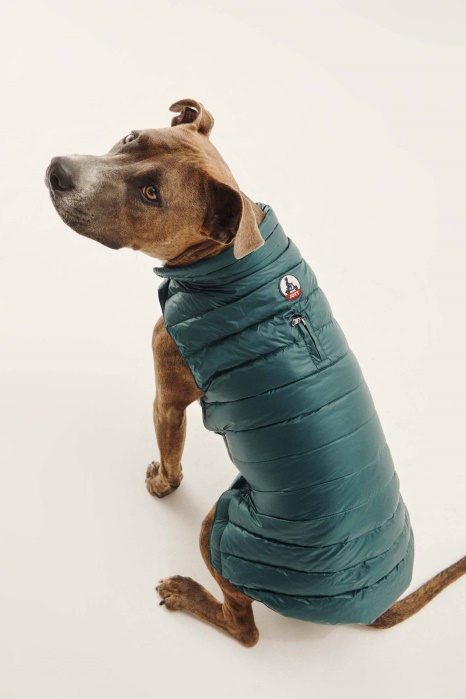 Jaqueta Jott Vert Fonce Cães Woop