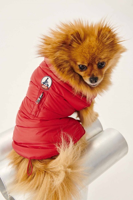 Jaqueta Jott Rouge Cães Woop