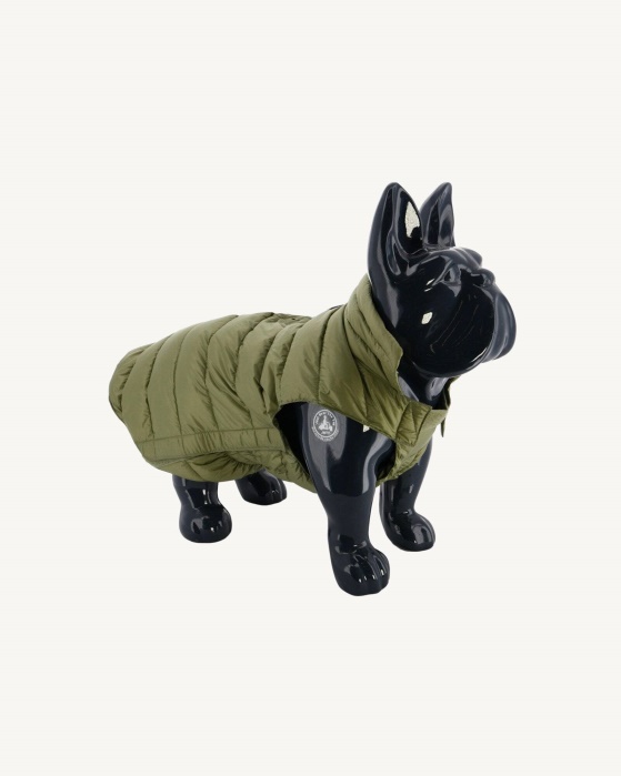 Jaqueta De Cães Do Mato Woop Jott