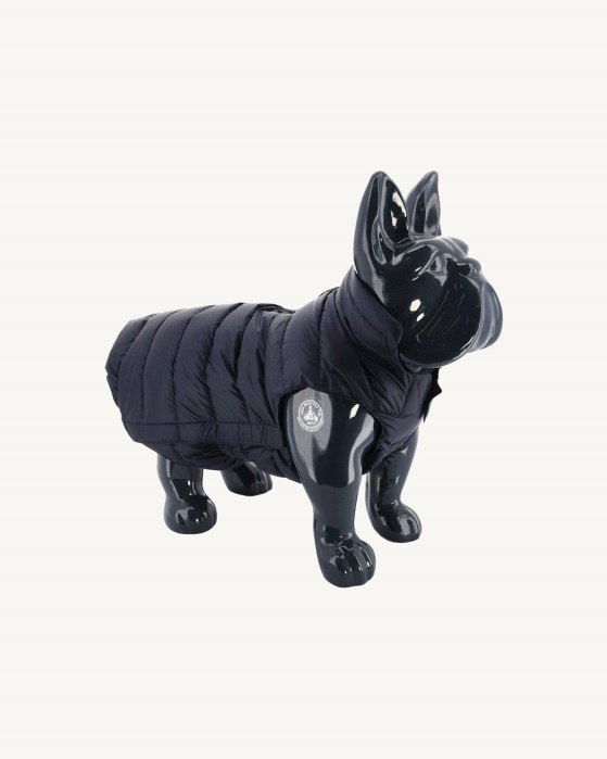 Jaqueta Jott Navy Dogs Woop