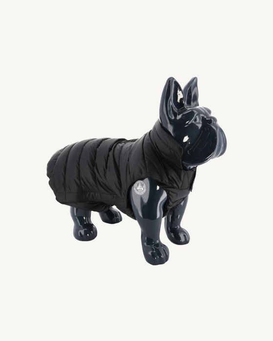 Jaqueta De Cachorro Preto Woop Jott